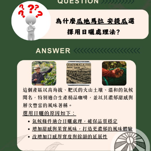 瓜地馬拉 安提瓜(卡佩提洛莊園)